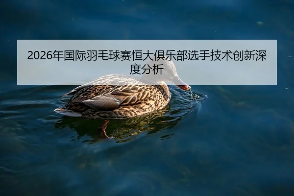 nian-guo-ji-yu-mao-qiu-sai-heng-da-ju-le-bu-xuan-shou-ji-shu-chuang-xin-shen-du-fen-xi-2-976.jpg