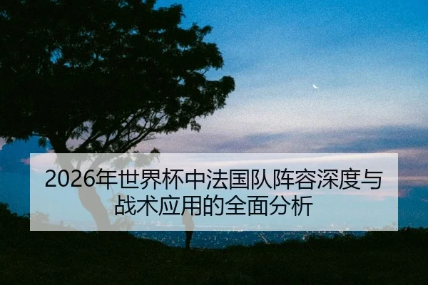 nian-shi-jie-bei-zhong-fa-guo-dui-zhen-rong-shen-du-yu-zhan-shu-ying-yong-de-quan-mian-fen-xi-2-277.jpg