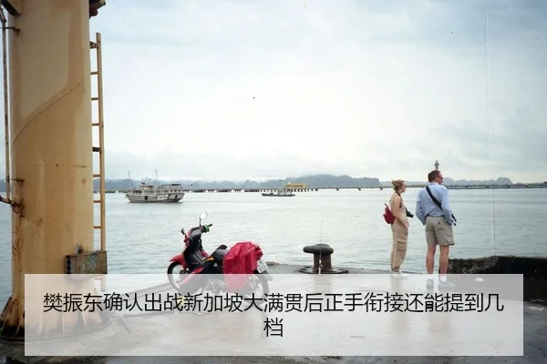 樊振东确认出战新加坡大满贯后正手衔接还能提到几档
