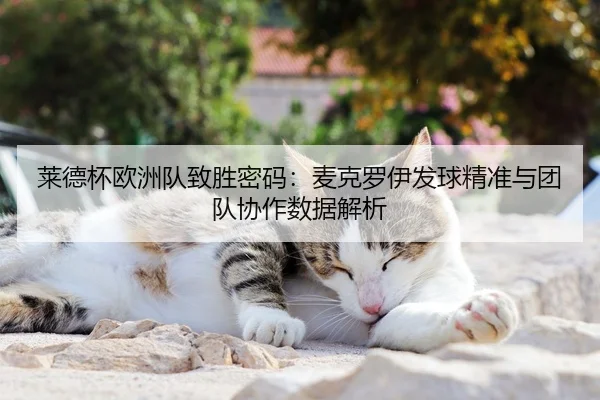 莱德杯欧洲队致胜密码：麦克罗伊发球精准与团队协作数据解析